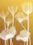 Picture of TRANSPARENT FLORA 2