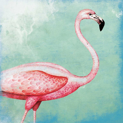 Picture of TROPICAL FLAMINGO
