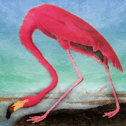 Picture of FLAMINGO