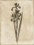 Picture of EARTHY FLORAL 2