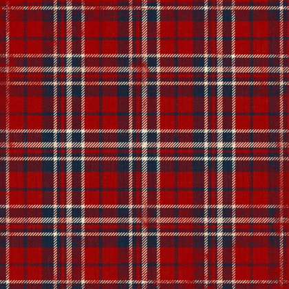 Picture of PLAID RCBC 1