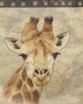 Picture of GIRAFFE