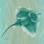 Picture of SKATE 86