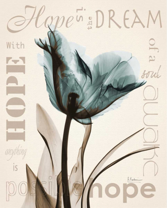 Picture of HOPE TULIP