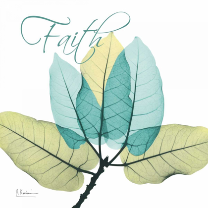 Picture of FAITH FICUS BURKEY