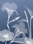 Picture of TRANSPARENT FLORA 4