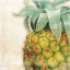 Picture of TROPICAL PINEAPPLE