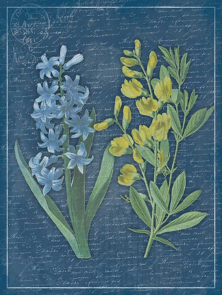 Picture of BLUE PRINT FLORAL MATE