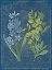 Picture of BLUE PRINT FLORAL MATE