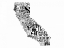 Picture of CALI