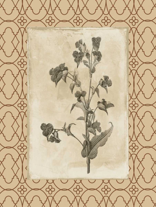 Picture of FLORAL BORDERED 3
