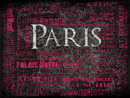 Picture of PARIS MAP TYPE 2