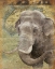 Picture of ELEPHANT 2