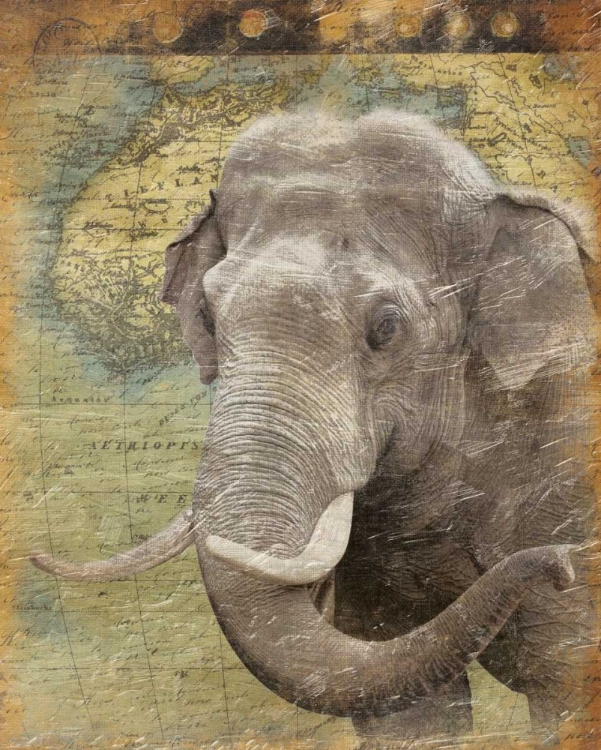Picture of ELEPHANT 2