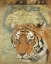 Picture of TIGER AFRICA