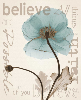 Picture of BELIEVE POPPY