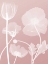 Picture of PINK FLORA 3