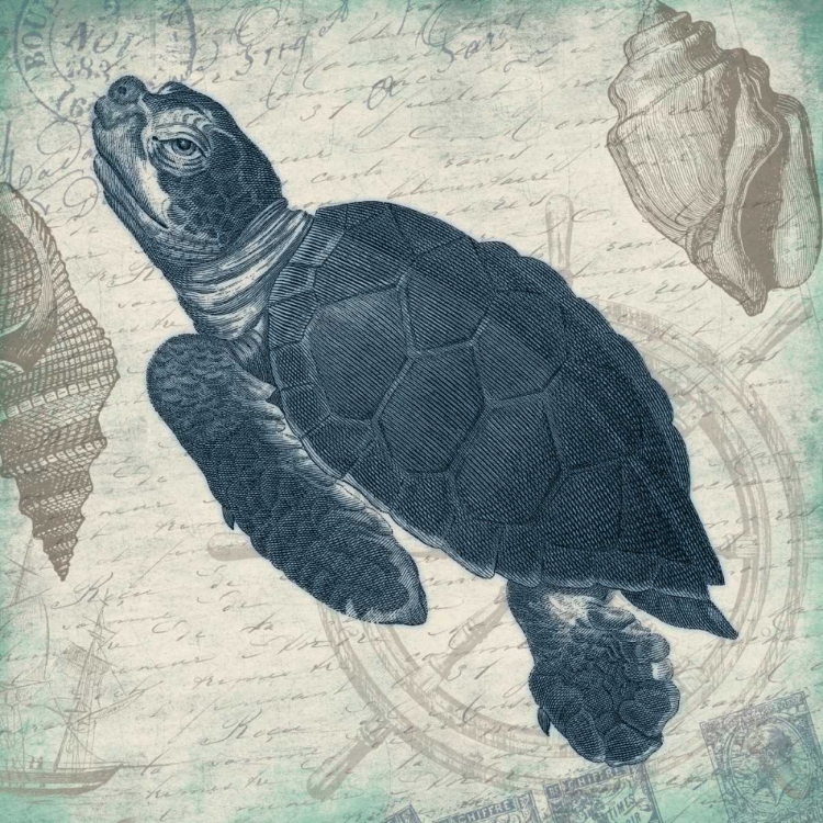 Picture of TURTLE