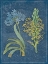 Picture of BLUE PRINT FLORAL