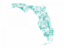 Picture of FLORIDA TURQUOISE