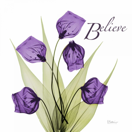 Picture of BELIEVE
