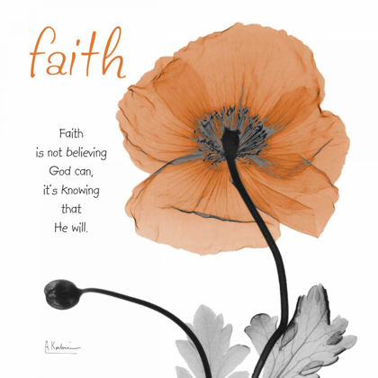 Picture of ICELAND POPPY FAITH
