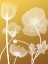 Picture of TRANSPARENT FLORA 3