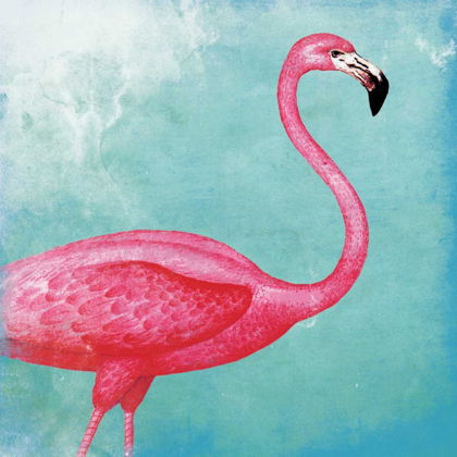 Picture of TROPICAL FLAMINGO 2