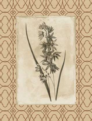 Picture of FLORAL BORDERED