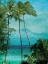 Picture of PALM TREES