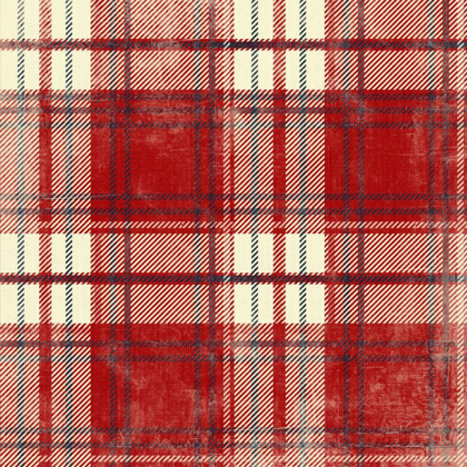 Picture of PLAID RCB