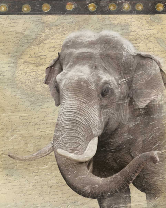 Picture of ELEPHANT