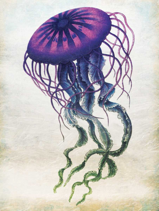 Picture of COLORED JELLYFISH