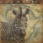 Picture of ZEBRA TRAVEL