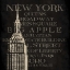 Picture of NEW YORK TYPE