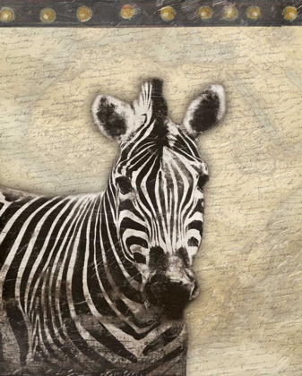 Picture of ZEBRA AFRICA 2