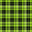 Picture of LIME PLAID