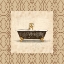 Picture of BROWN BATH BORDER 2