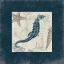 Picture of SEAHORSE BORDERED