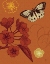 Picture of ORCHARD SEEKER