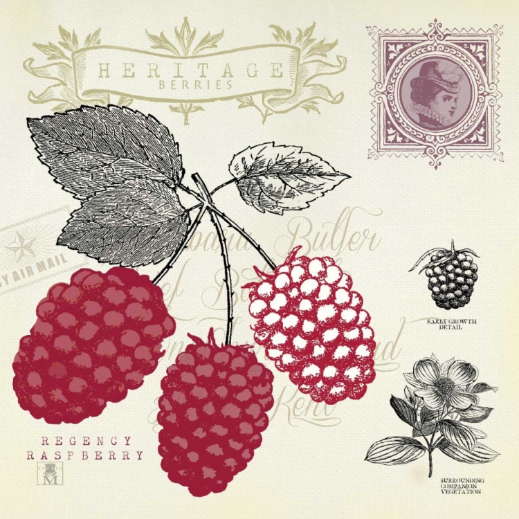 Picture of RASPBERRY NOTES