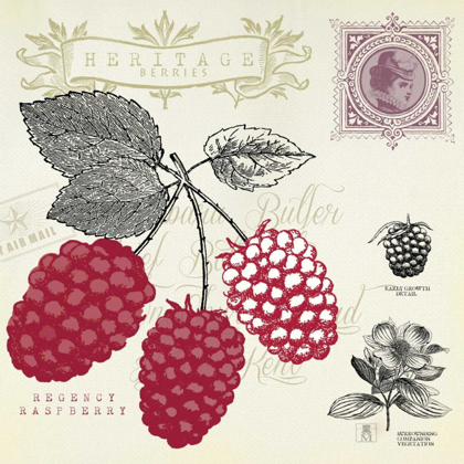 Picture of RASPBERRY NOTES