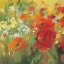 Picture of ORIENTAL POPPY FIELD II