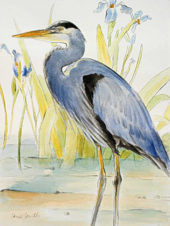 Picture of GREAT BLUE HERON