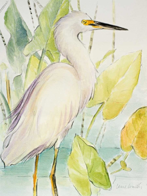 Picture of SNOWY EGRET