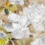 Picture of WHITE MODERN PEONIES II