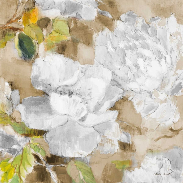 Picture of WHITE MODERN PEONIES II