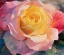 Picture of FLOWER I