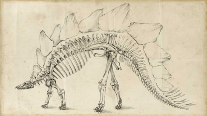 Picture of DINOSAUR STUDY III