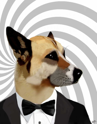 Picture of DEBONAIR JAMES BOND DOG